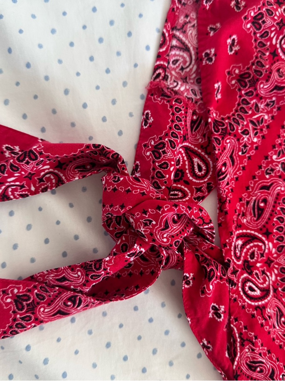 Forever 21 Red Bandana Halter Top Open Back Tie Crop - Picture 7 of 7
